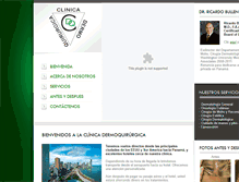 Tablet Screenshot of dermatologiapanama.com